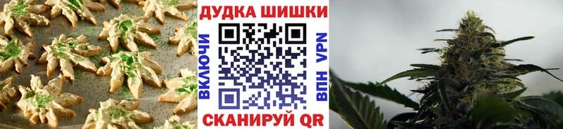 как найти   Алейск  Cannafood конопля 