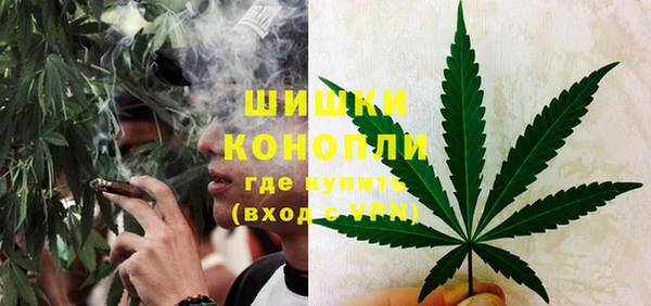 apvp Осинники
